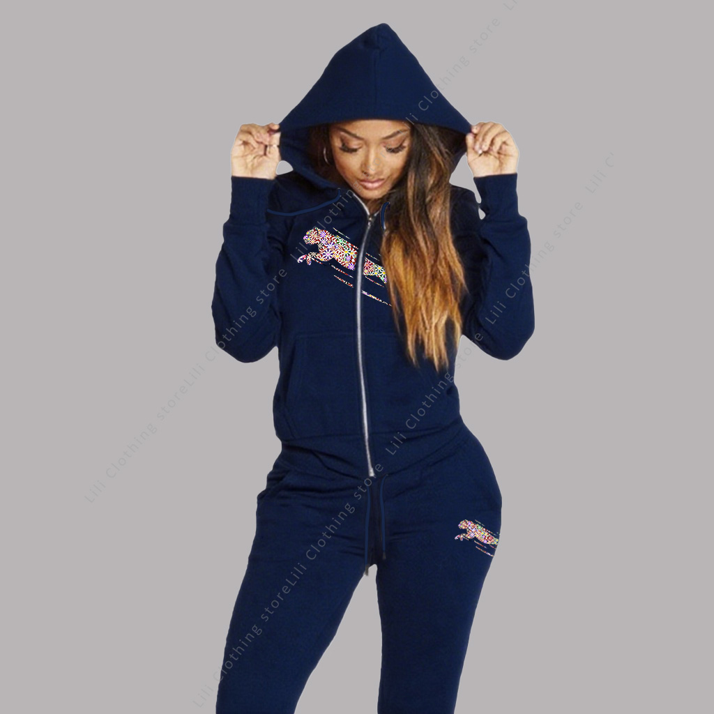 Quality Winter Clothing - Women's Track Suit Aesthetic Hoodies Sweatshirts