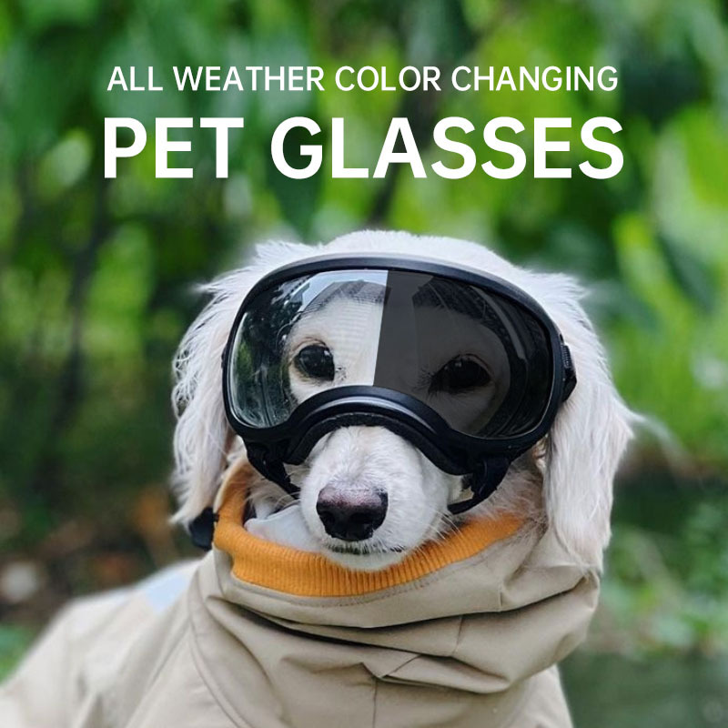 2026 Color changing pet glasse - огляд і ціна Snow Goggle Uv